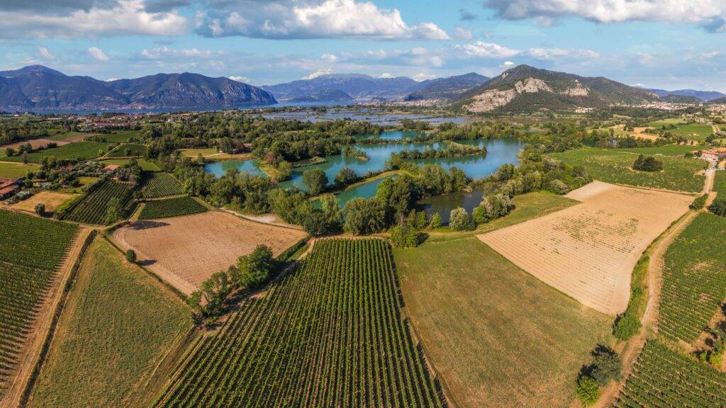 Franciacorta: the Origin of Italian Sparkling Wine with Berlucchi