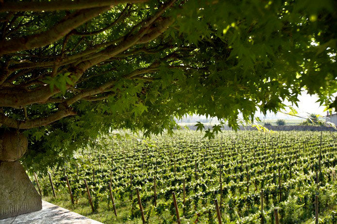 1701 Franciacorta
