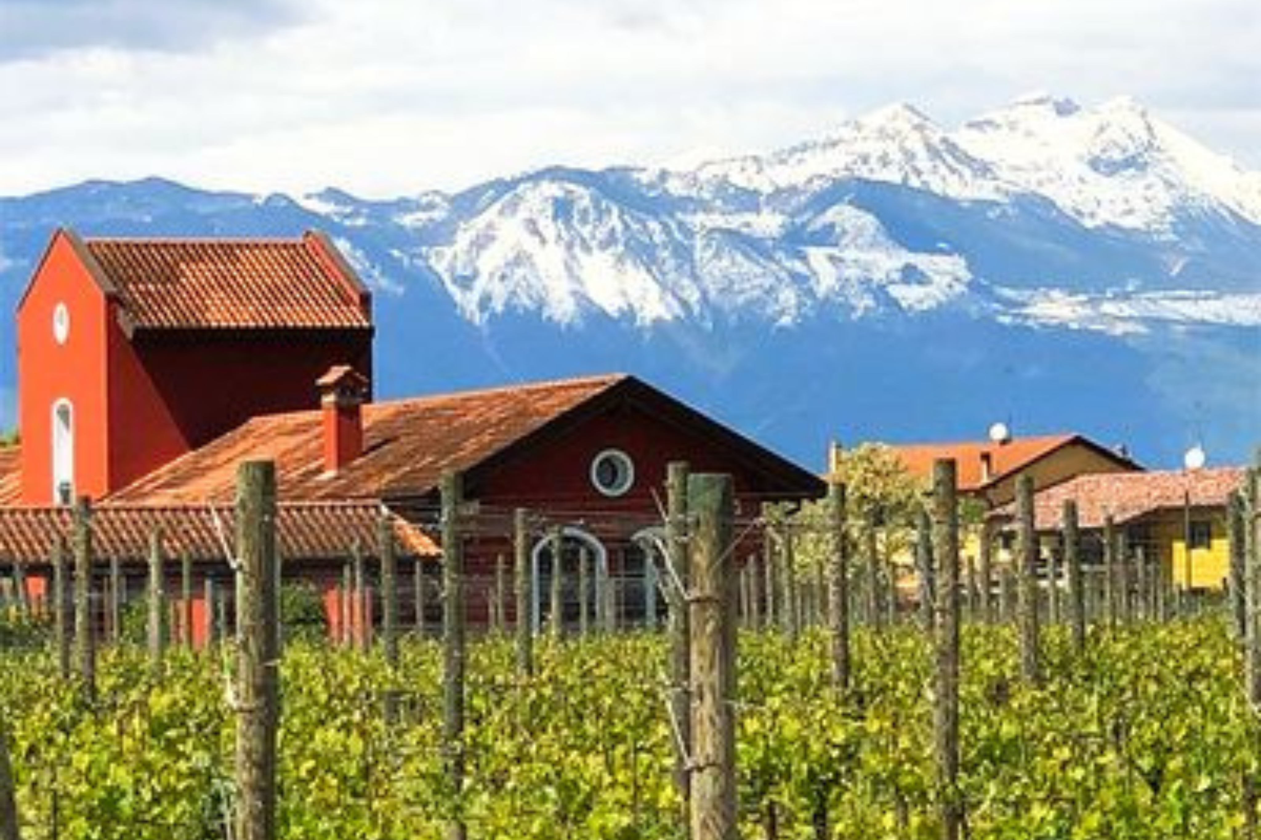 San Simone: Friuli in Every Pour