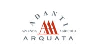 Adanti logo