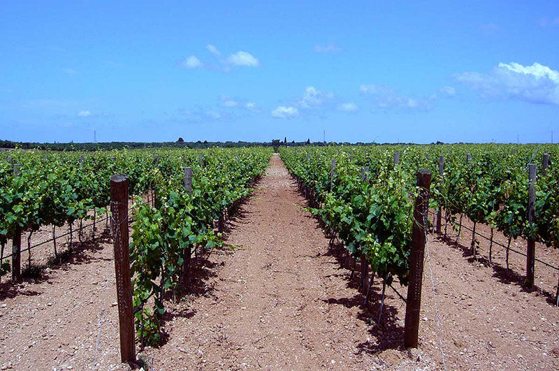 Apulia 1