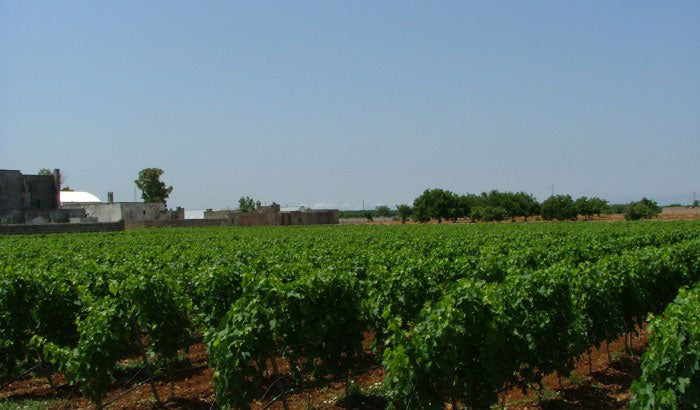 Apulia 3