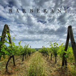Barberani