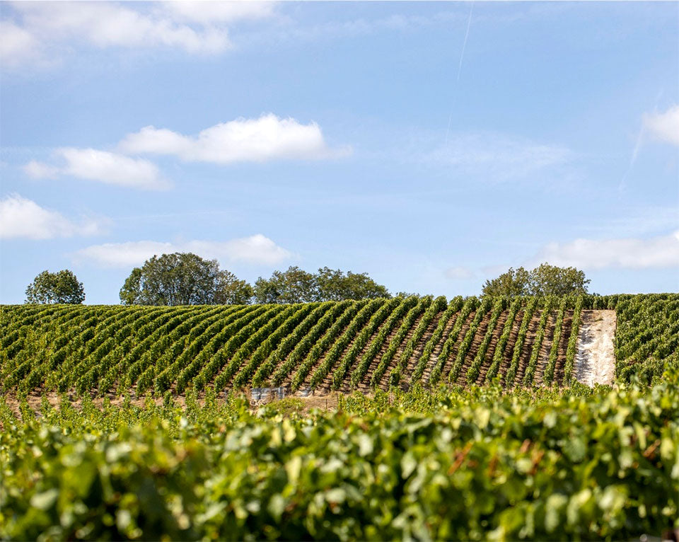 Barons de Rothschild