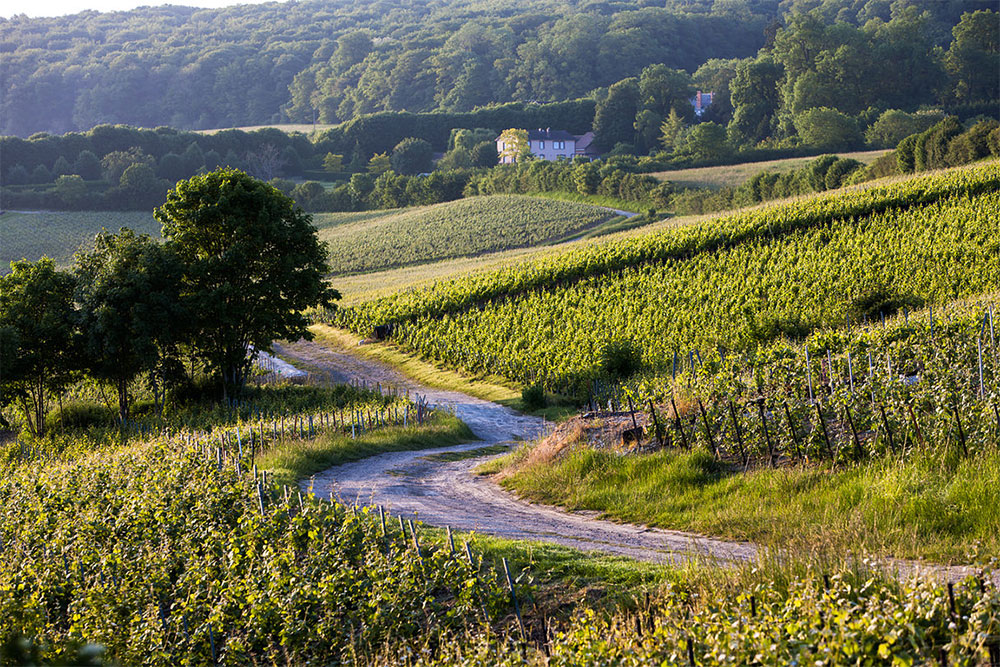 Beaumont des Crayeres