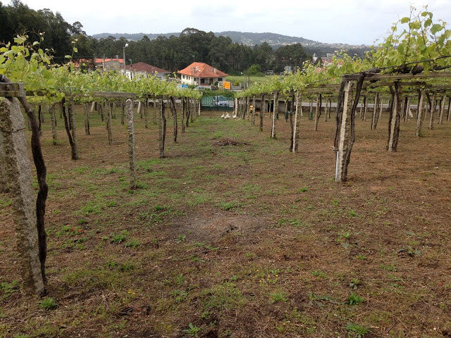 Bodegas Fulcro