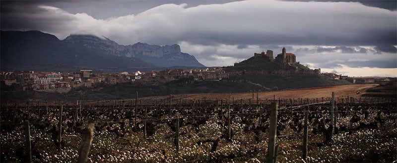 Bodegas Sierra Cantabria