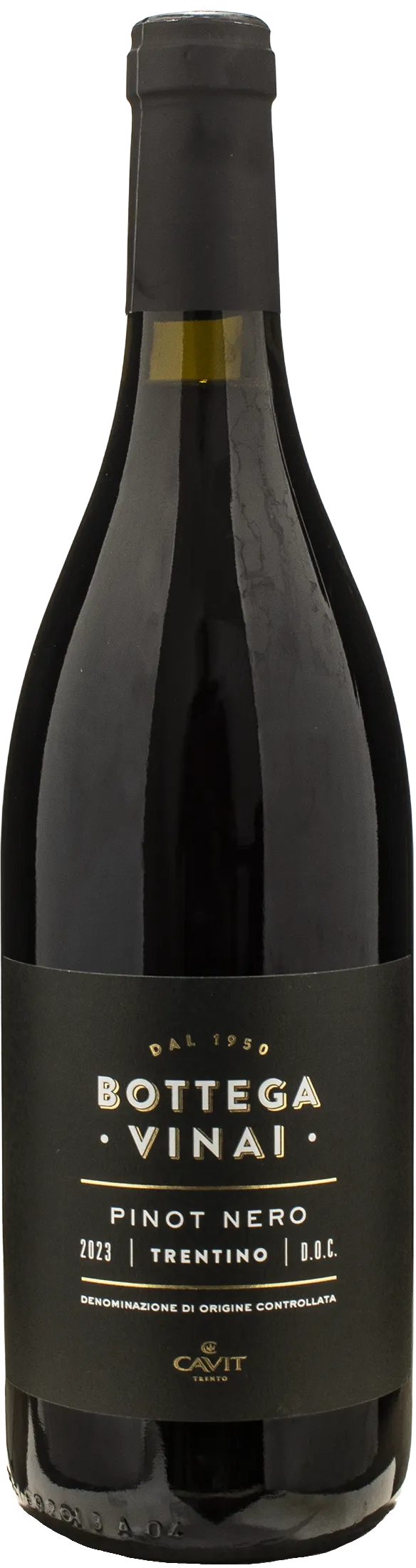 Bottega Vinai Pinot Nero Trentino 2023