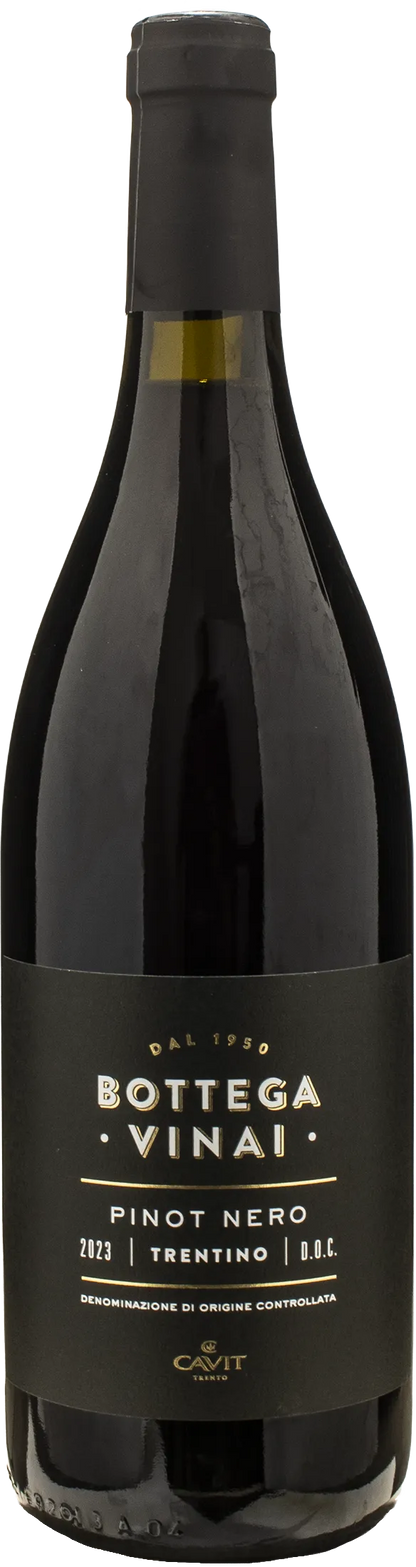 Bottega Vinai Pinot Nero Trentino 2023