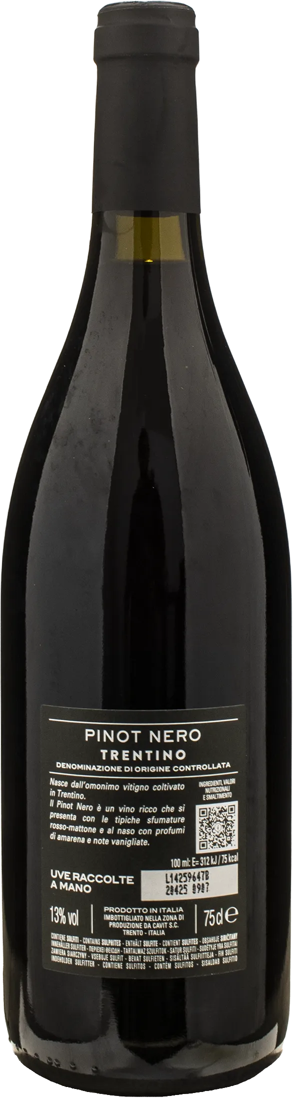 Bottega Vinai Pinot Nero Trentino 2023