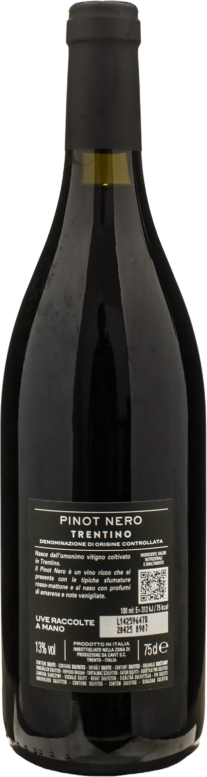 Bottega Vinai Pinot Nero Trentino 2023