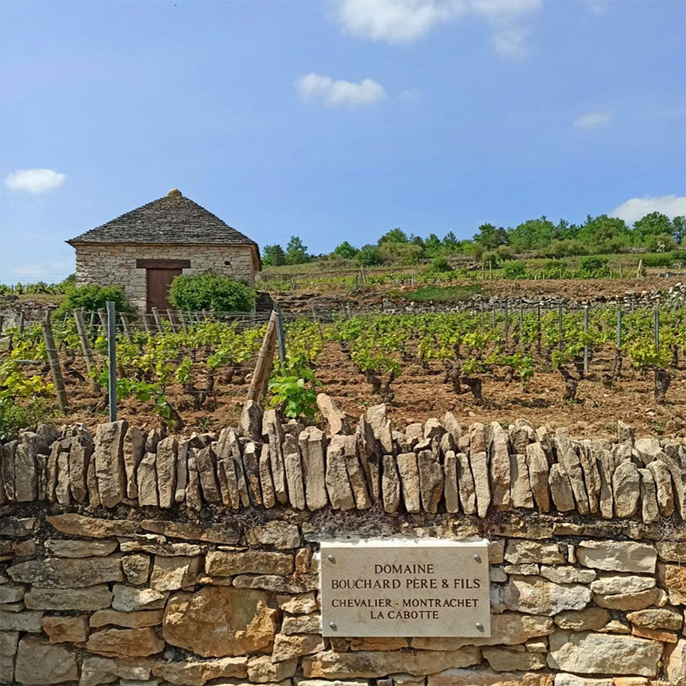 Bouchard Pere et Fils
