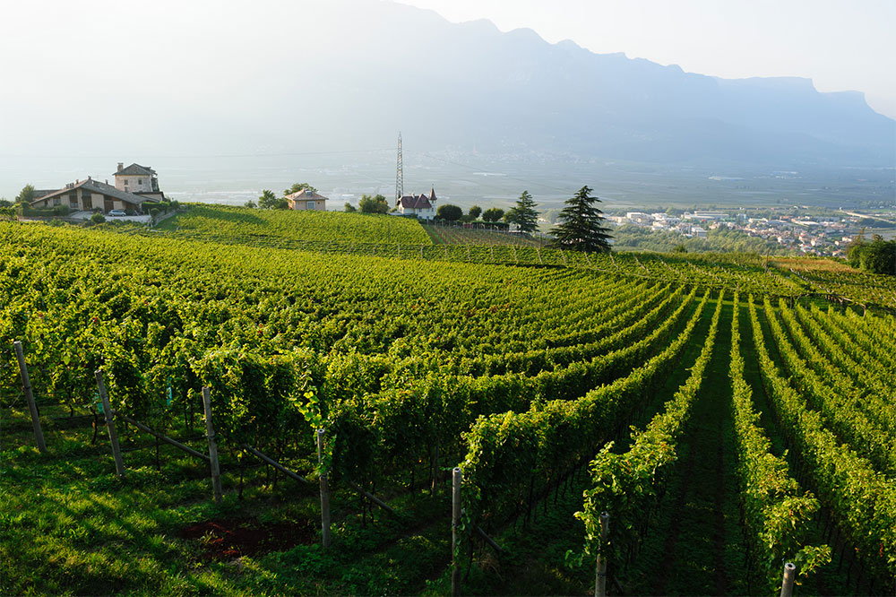 Brunnenhof Mazzon