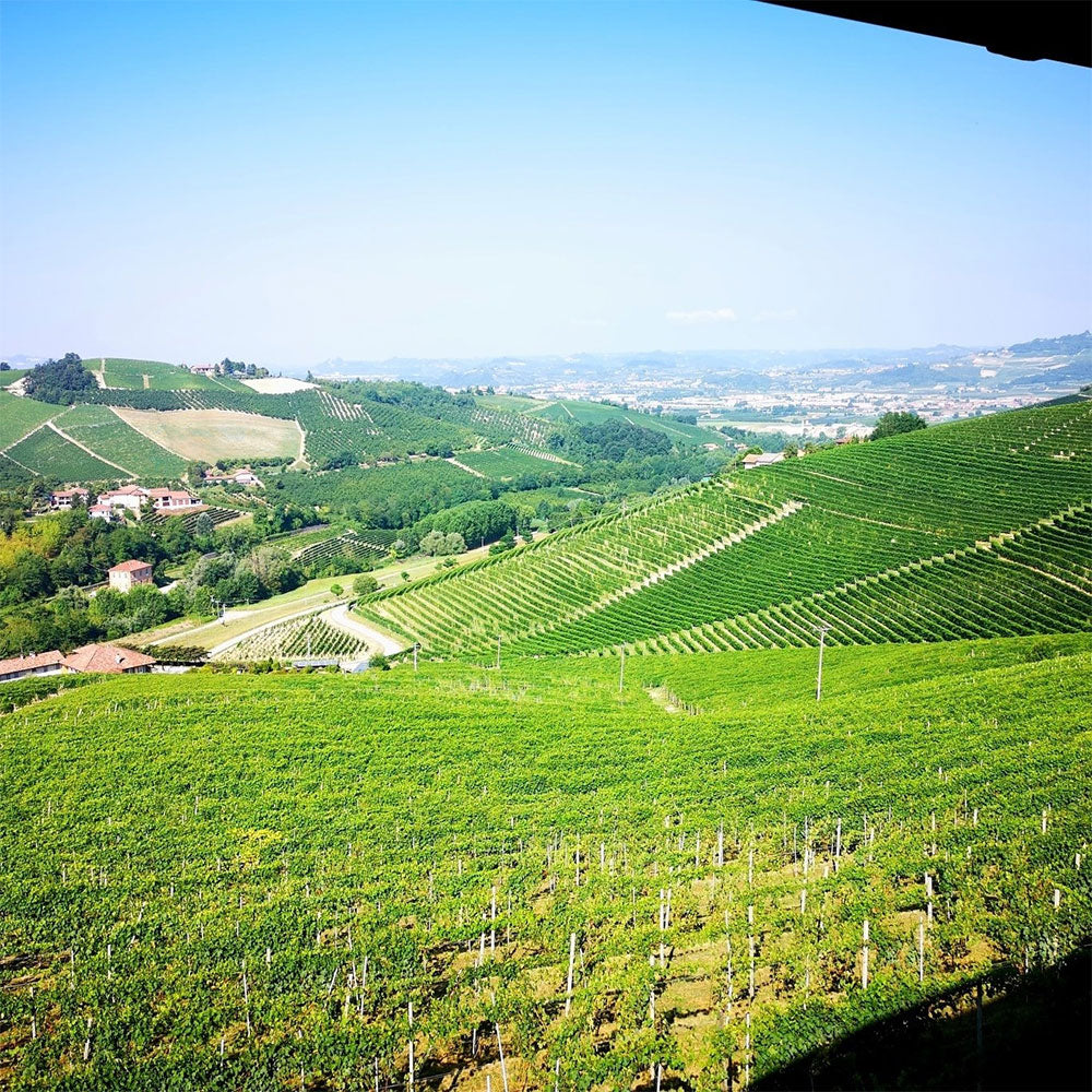 Bruno Rocca - Rabaja