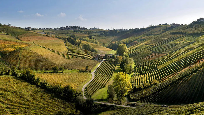 Ca del Baio