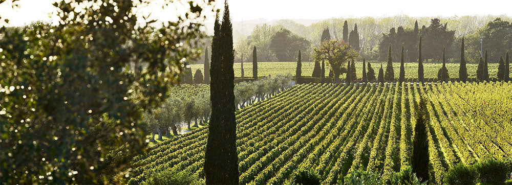 Campo alla Sughera