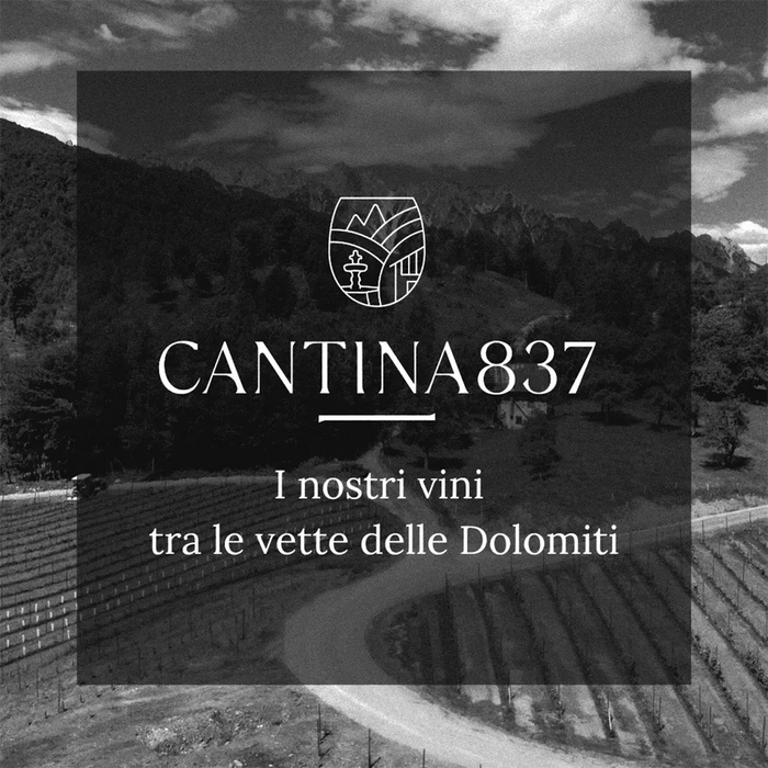 Cantina 837