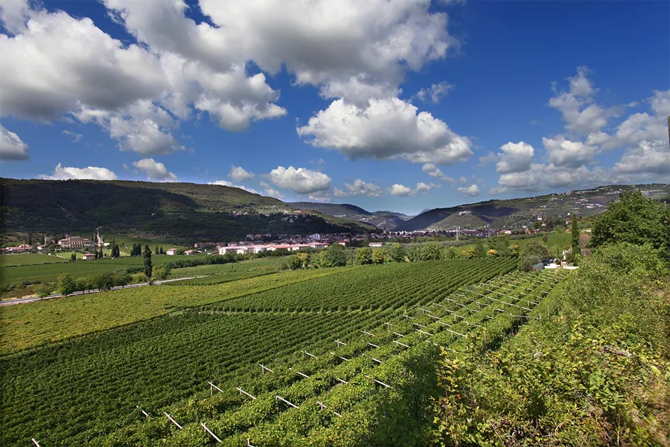 Cantina Valpantena