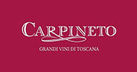 Carpineto