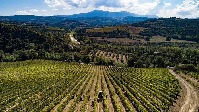 Casanova di Neri