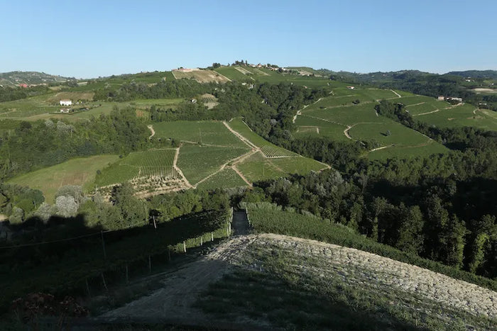 Cascina Baricchi