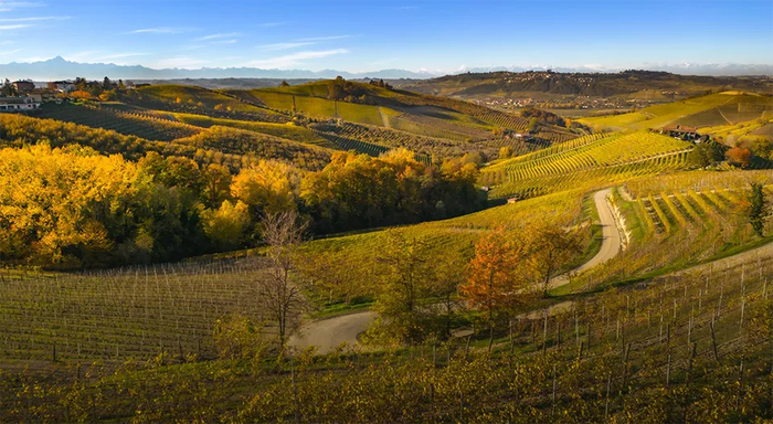 Cascina Bruciata