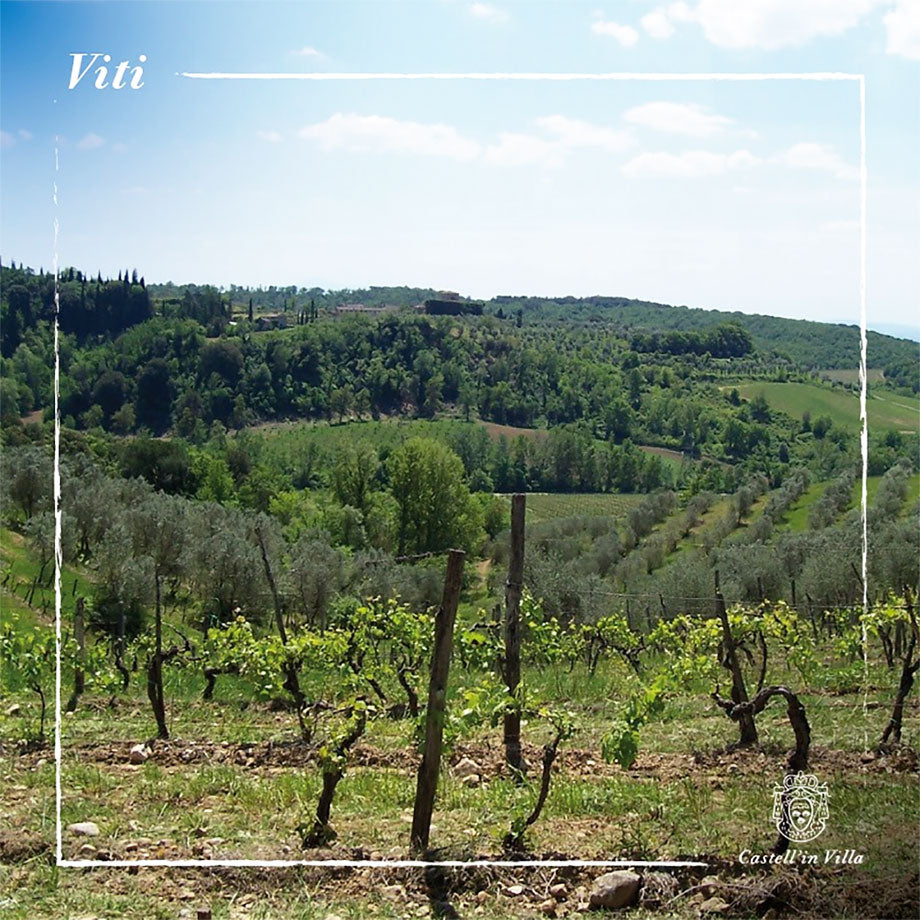 Castell'in Villa