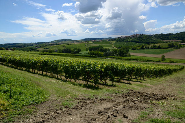 Castello di Uviglie