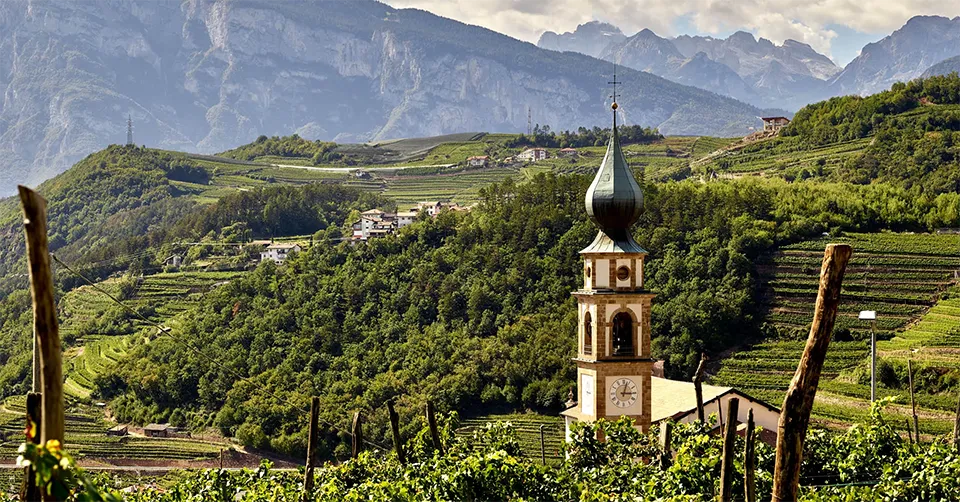 Cembra Cantina di Montagna