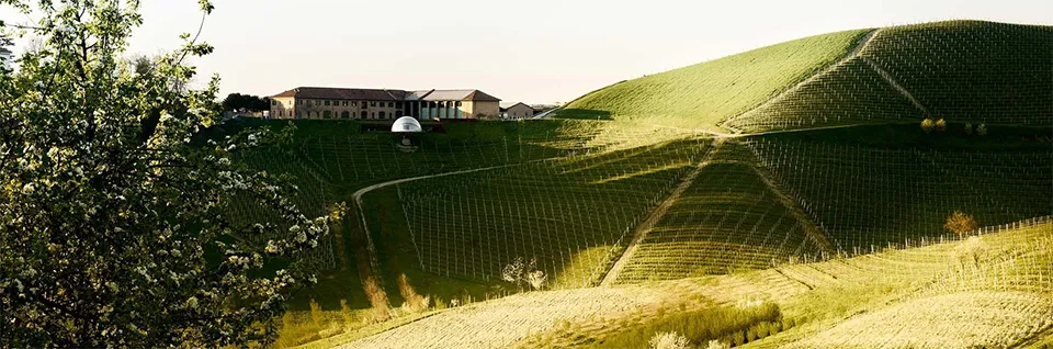 Ceretto
