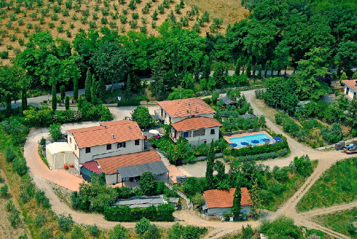 Cesani