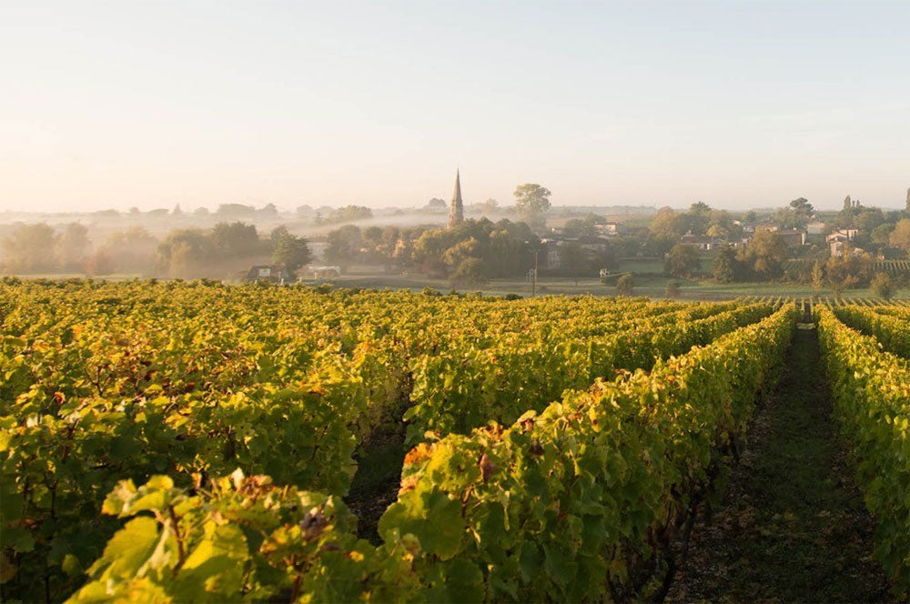 Chateau d'Arche