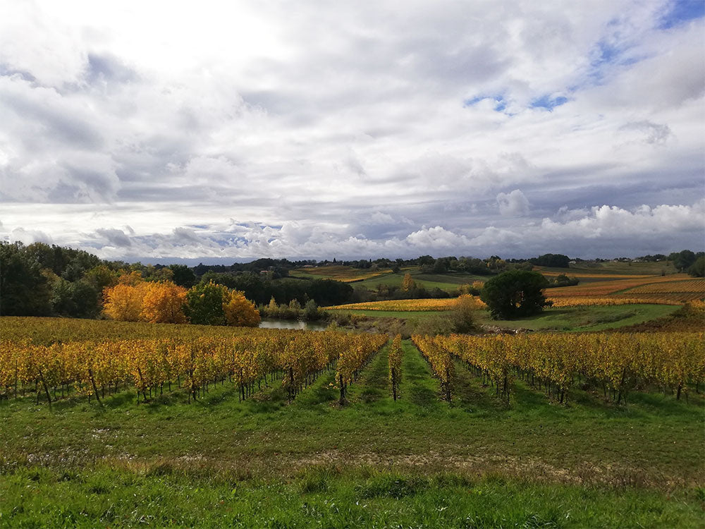 Chateau La Pierriere