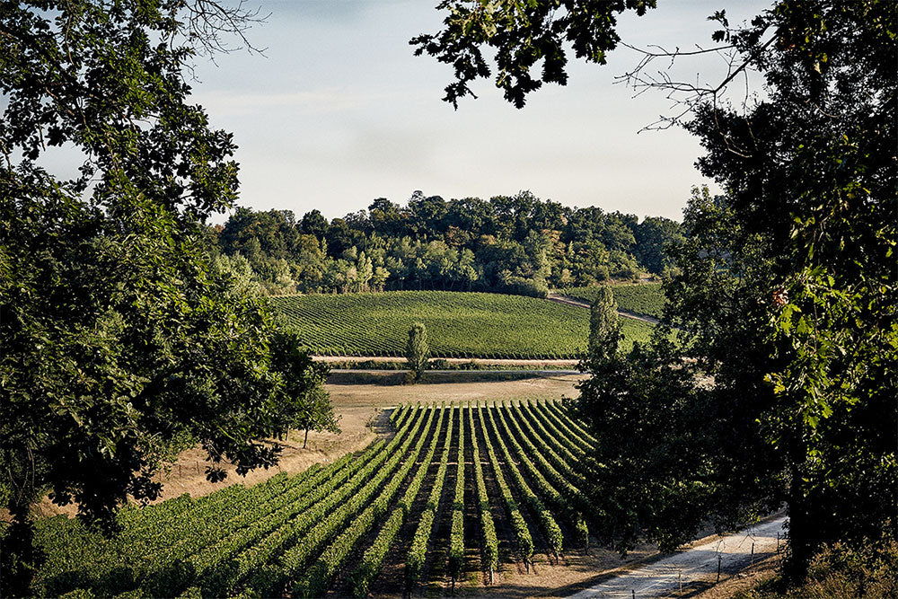 Chateau Laroque