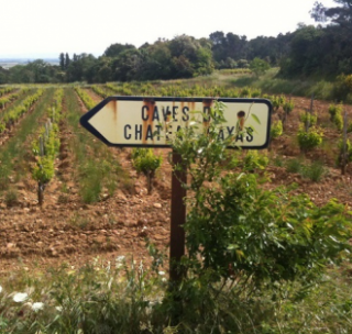 Chateau Rayas