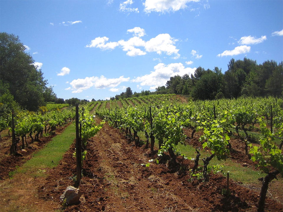 Chateau Revelette