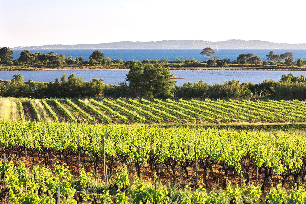 Chateau Sainte Marguerite