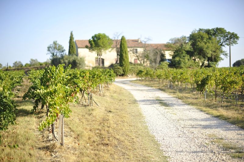 Clos St Antonin