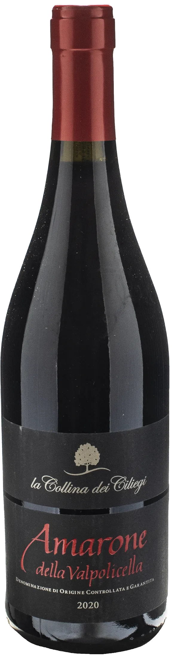 Collina dei Ciliegi Amarone della Valpolicella 2020
