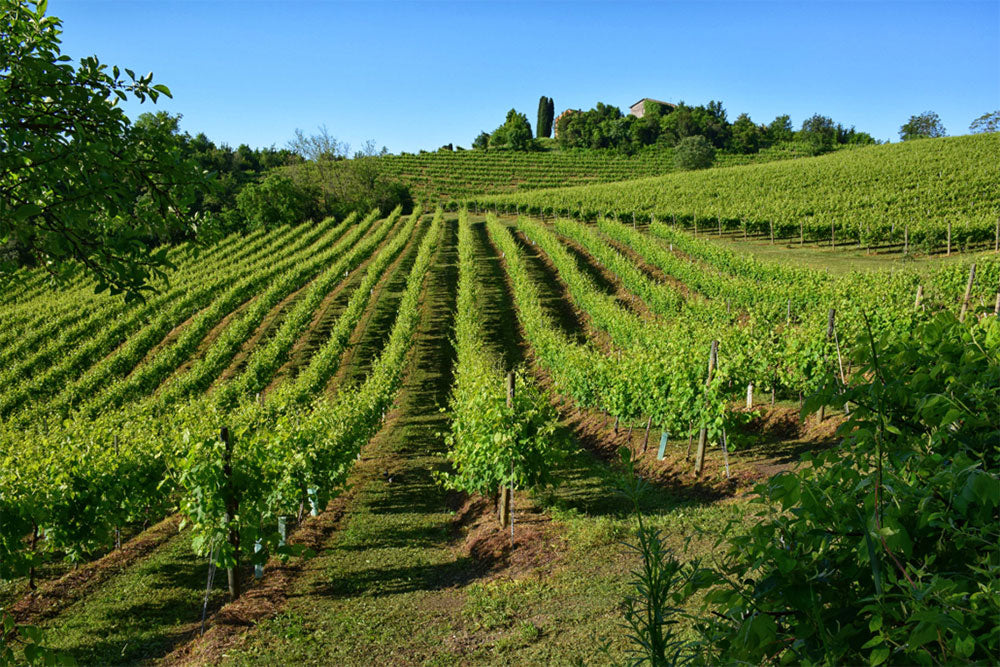 Conca d'Oro
