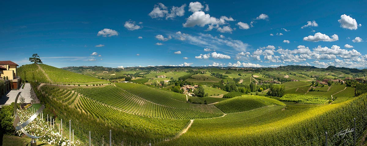 Cordero di Montezemolo