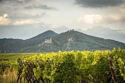 Domaine Agape