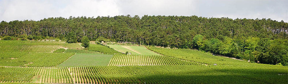 Domaine Ami