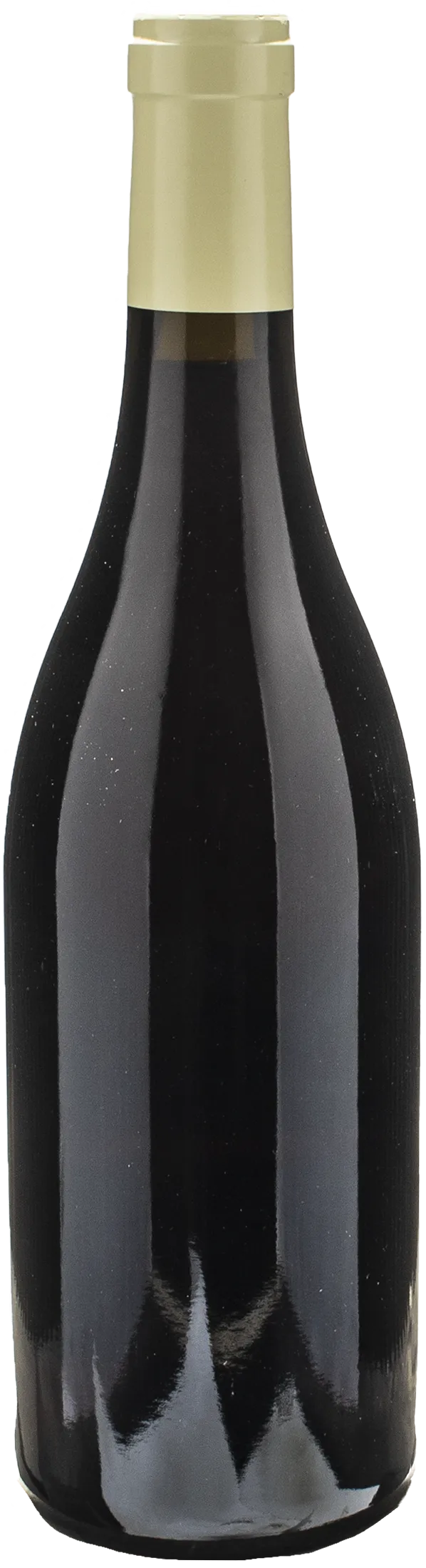 Domaine Bart Marsannay Au Champ Salomon 2021