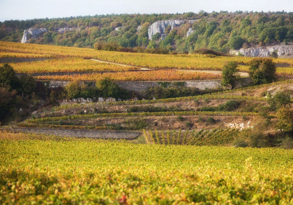 Domaine Bertagna