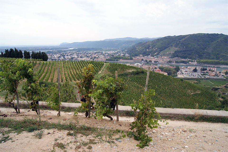 Domaine des Remizieres