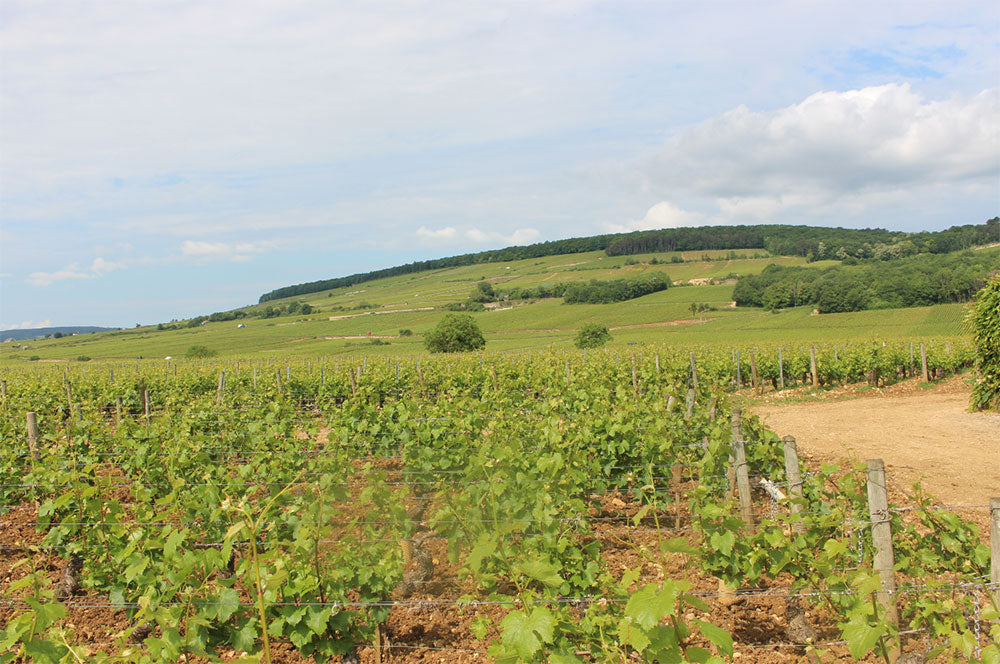 Domaine Jacob
