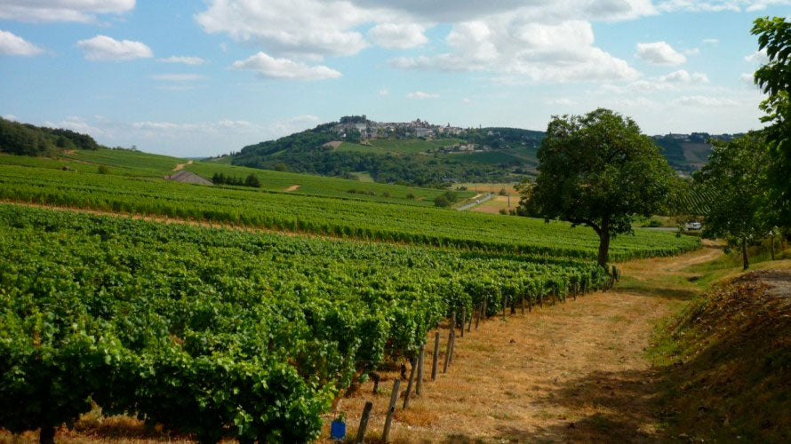 Domaine Laporte
