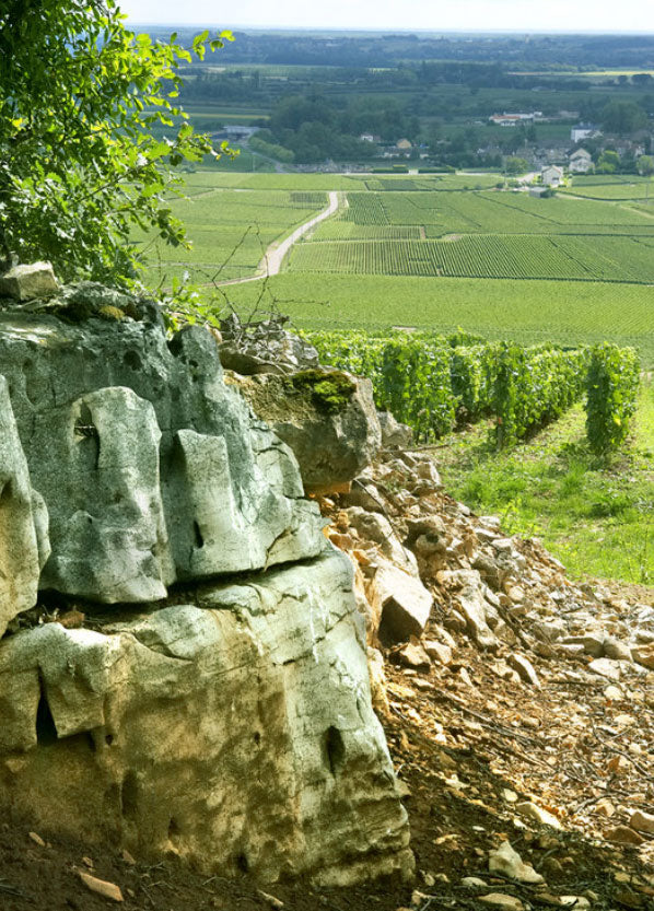 Domaine Leflaive