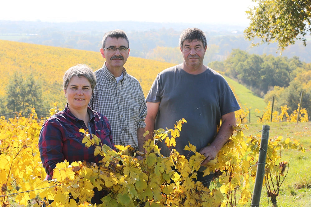 Domaine Les Grandes Vignes